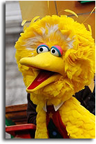 BigBird